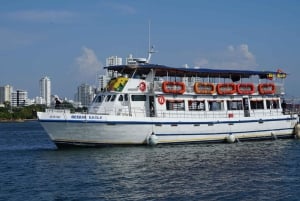 カルタヘナ：ディナーとオープン・バー付き白夜ボート・ツアー