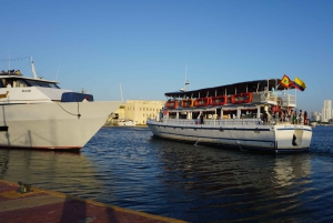 カルタヘナ：ディナーとオープン・バー付き白夜ボート・ツアー