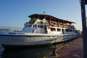 カルタヘナ：ディナーとオープン・バー付き白夜ボート・ツアー