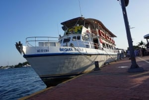 カルタヘナ：ディナーとオープン・バー付き白夜ボート・ツアー