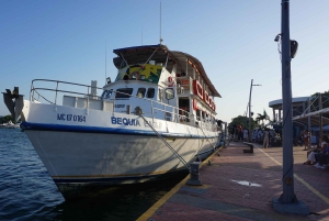 カルタヘナ：ディナーとオープン・バー付き白夜ボート・ツアー