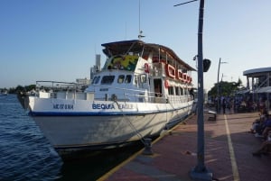 カルタヘナ：ディナーとオープン・バー付き白夜ボート・ツアー