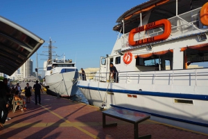 カルタヘナ：ディナーとオープン・バー付き白夜ボート・ツアー