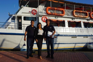 カルタヘナ：ディナーとオープン・バー付き白夜ボート・ツアー