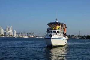 カルタヘナ：ディナーとオープン・バー付き白夜ボート・ツアー