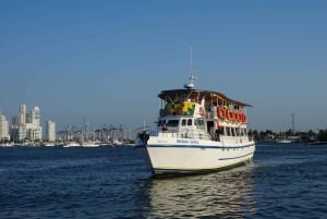 カルタヘナ：ディナーとオープン・バー付き白夜ボート・ツアー