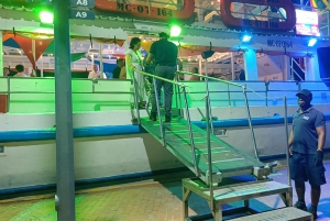 カルタヘナ：ディナーとオープン・バー付き白夜ボート・ツアー