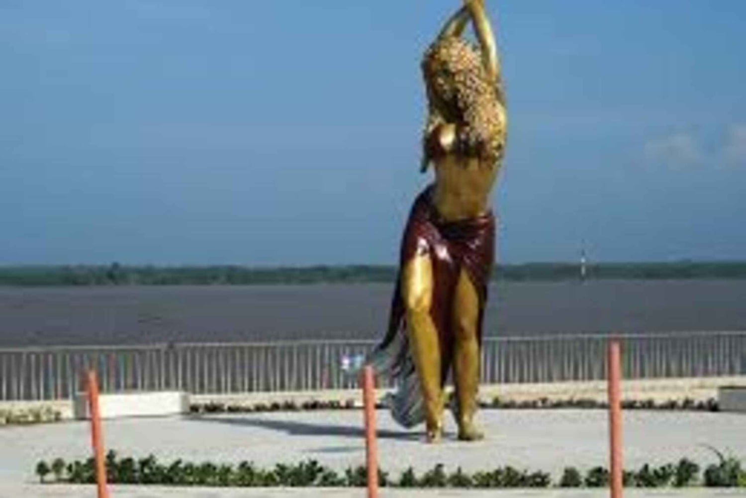 Check out the Mallorking Swamp Ecopark + the Magdalena River Mouth