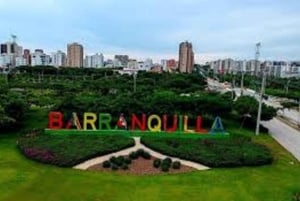 Check out the Mallorking Swamp Ecopark + the Magdalena River Mouth