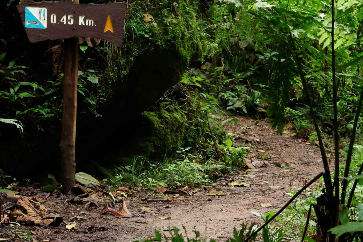 Wanderung im nebligen Wald von Chicaque
