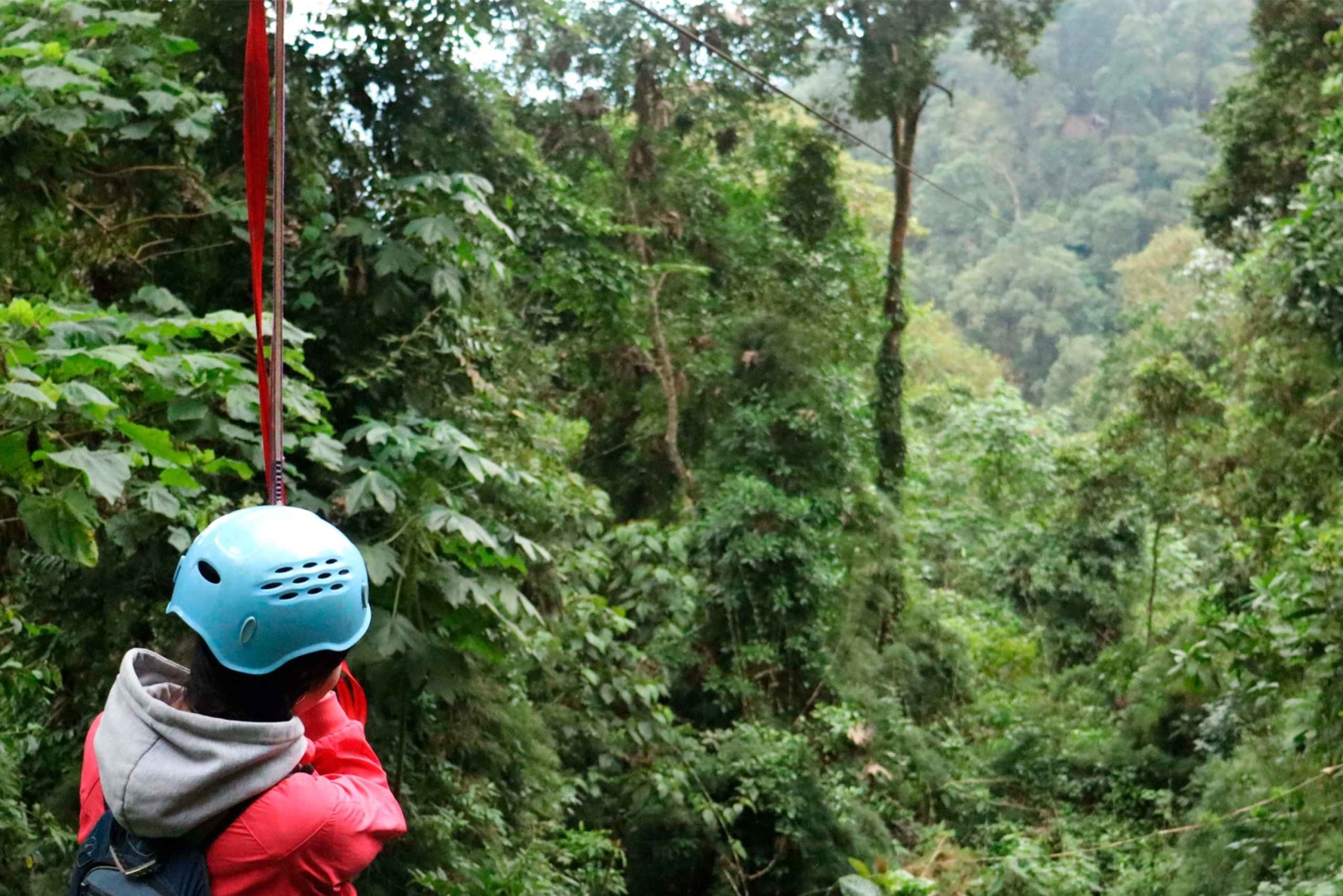 Wanderung im nebligen Wald von Chicaque
