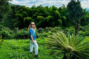 Chinchina, Caldas: Tarina kahvikupin takana haciendalla sijaitsevalla maatilalla