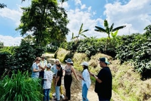 Chinchina, Caldas: Tarina kahvikupin takana haciendalla sijaitsevalla maatilalla