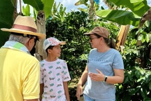 Chinchina, Caldas: Tarina kahvikupin takana haciendalla sijaitsevalla maatilalla