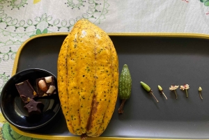 Ruta del chocolate cerca de Medellín