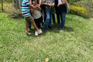 Ruta del chocolate cerca de Medellín