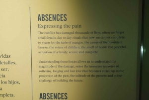 Byomvisning i Medellin