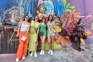 Citytour,comuna13,metro cable,botero,pueblito paisa. Privado