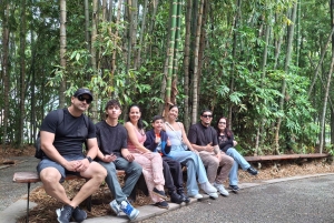 Citytour, comuna13, metro cable, botero, pueblito paisa. Privato