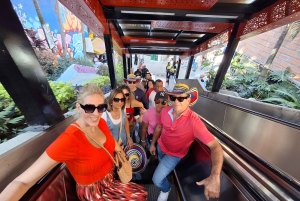 Citytour, comuna13, metro cable, botero, pueblito paisa. Privato