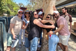 Citytour, comuna13, metro cable, botero, pueblito paisa. Privato