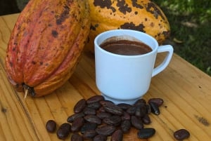 Minca: Artisanal Cacao Workshop at Casa Jocolate