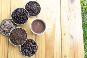 Minca: Artisanal Cacao Workshop at Casa Jocolate