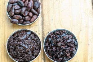 Minca: Artisanal Cacao Workshop at Casa Jocolate