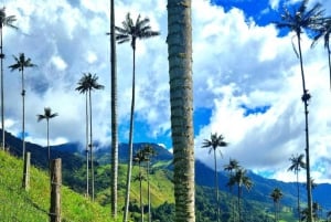 Cocora Mini Trek: Waterfall, Nature, and Tradition