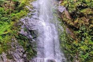 Cocora Mini Trek: Waterfall, Nature, and Tradition