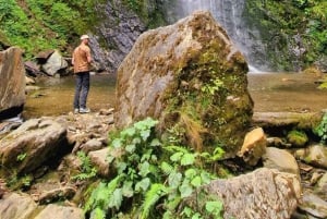 Cocora Mini Trek: Waterfall, Nature, and Tradition