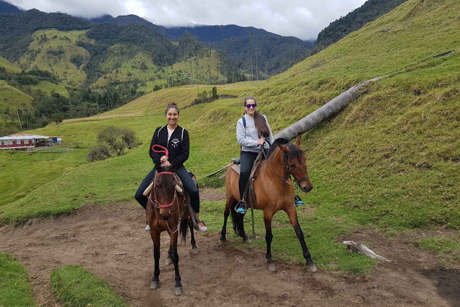 Pereira/Salento: Cocora Valley and Salento Horseback Riding