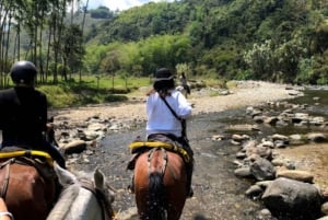 Pereira/Salento: Cocora Valley and Salento Horseback Riding
