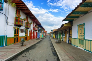 Pereira/Salento: Cocora Valley and Salento Horseback Riding