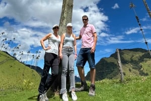 Tour Valle del Cocora and Salento, including a typical lunch