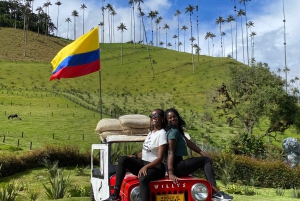 Tour Valle del Cocora and Salento, including a typical lunch