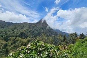 Circuito attraverso la valle del Cocora, Casa dei colibrì Acaime Circa 14 km