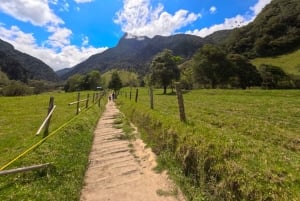 Circuito attraverso la valle del Cocora, Casa dei colibrì Acaime Circa 14 km