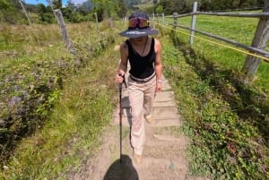 Circuito attraverso la valle del Cocora, Casa dei colibrì Acaime Circa 14 km
