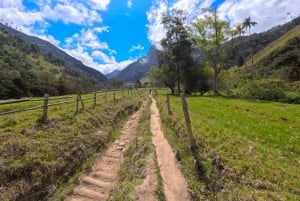 Circuito attraverso la valle del Cocora, Casa dei colibrì Acaime Circa 14 km