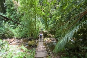 Circuito attraverso la valle del Cocora, Casa dei colibrì Acaime Circa 14 km