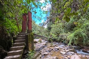 Circuito attraverso la valle del Cocora, Casa dei colibrì Acaime Circa 14 km