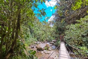 Circuito attraverso la valle del Cocora, Casa dei colibrì Acaime Circa 14 km
