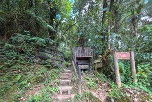Circuito attraverso la valle del Cocora, Casa dei colibrì Acaime Circa 14 km