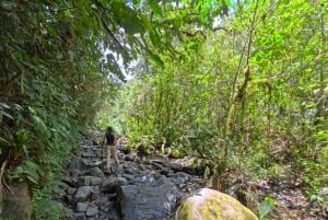 Circuito attraverso la valle del Cocora, Casa dei colibrì Acaime Circa 14 km