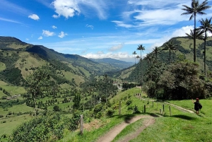Von Salento aus: Gemeinsame Tour durch das Cocora-Tal