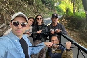 Von Salento aus: Gemeinsame Tour durch das Cocora-Tal