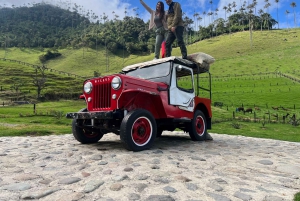 Von Salento aus: Gemeinsame Tour durch das Cocora-Tal