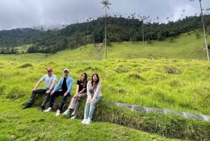Von Salento aus: Gemeinsame Tour durch das Cocora-Tal