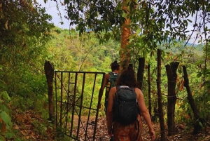 Coffee, Cacao, and Trekking Tour in Minca: Nature, Crops, and Production